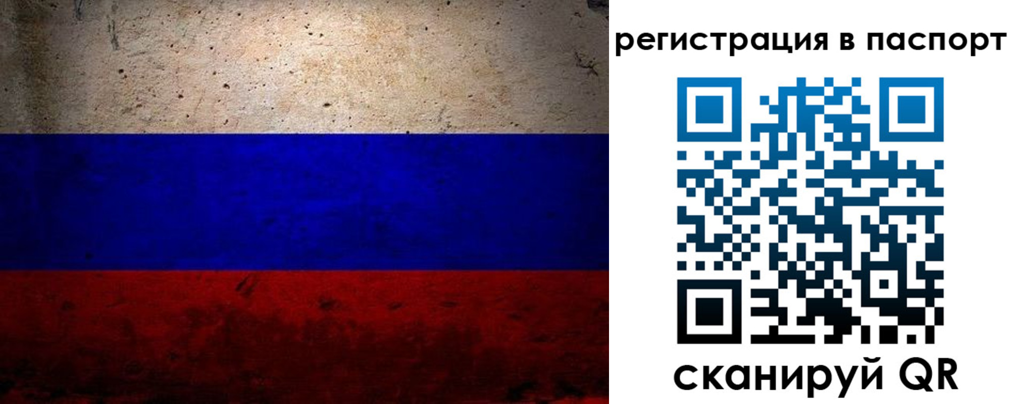купить прописку в Кировске