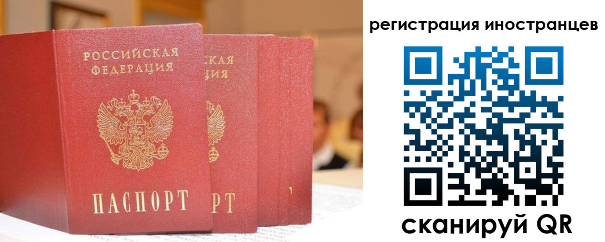где прописаться в Кировске